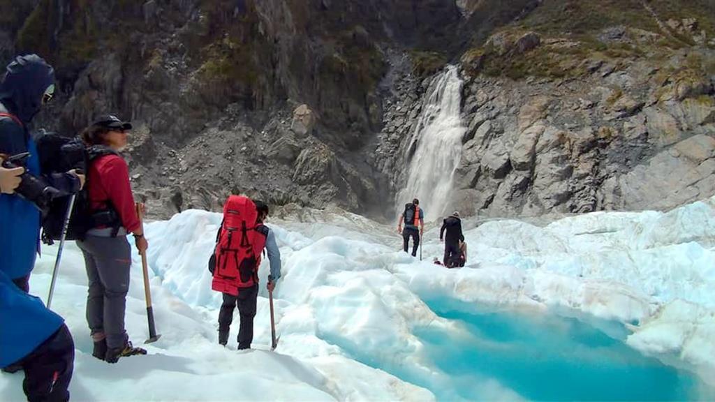 Fox glacier 