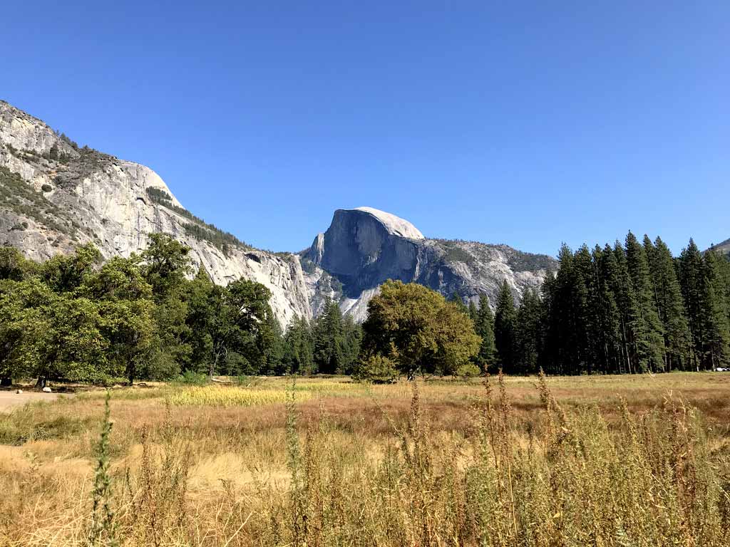 Cook's Meadow
