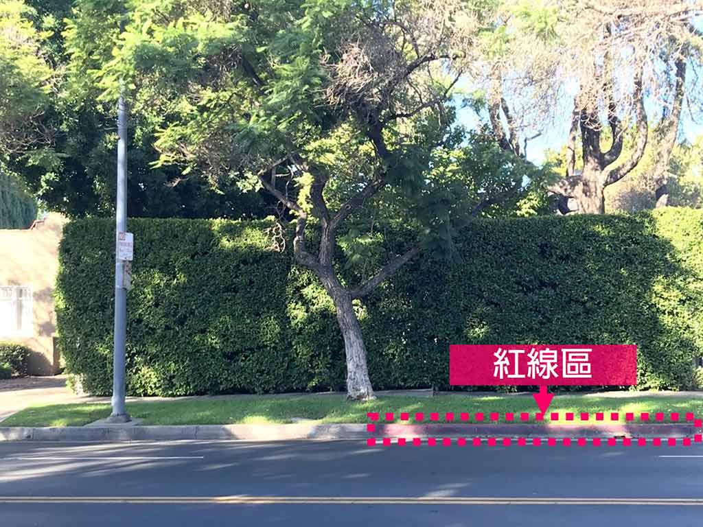 洛杉磯 停車