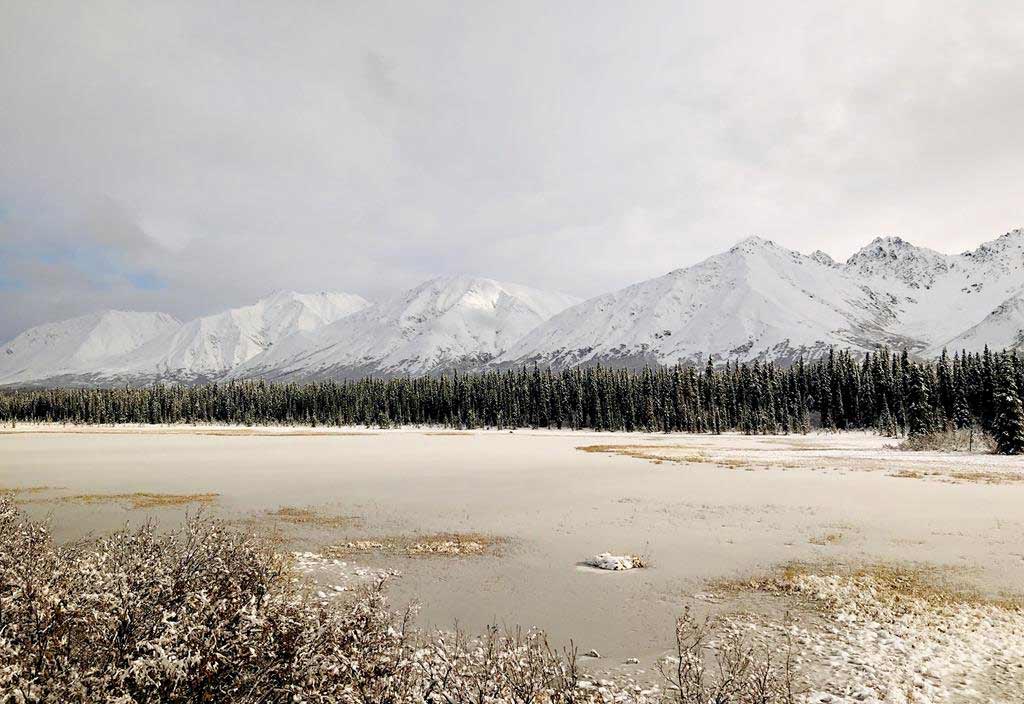 Alaska Railroad Aurora Winter Train scenery