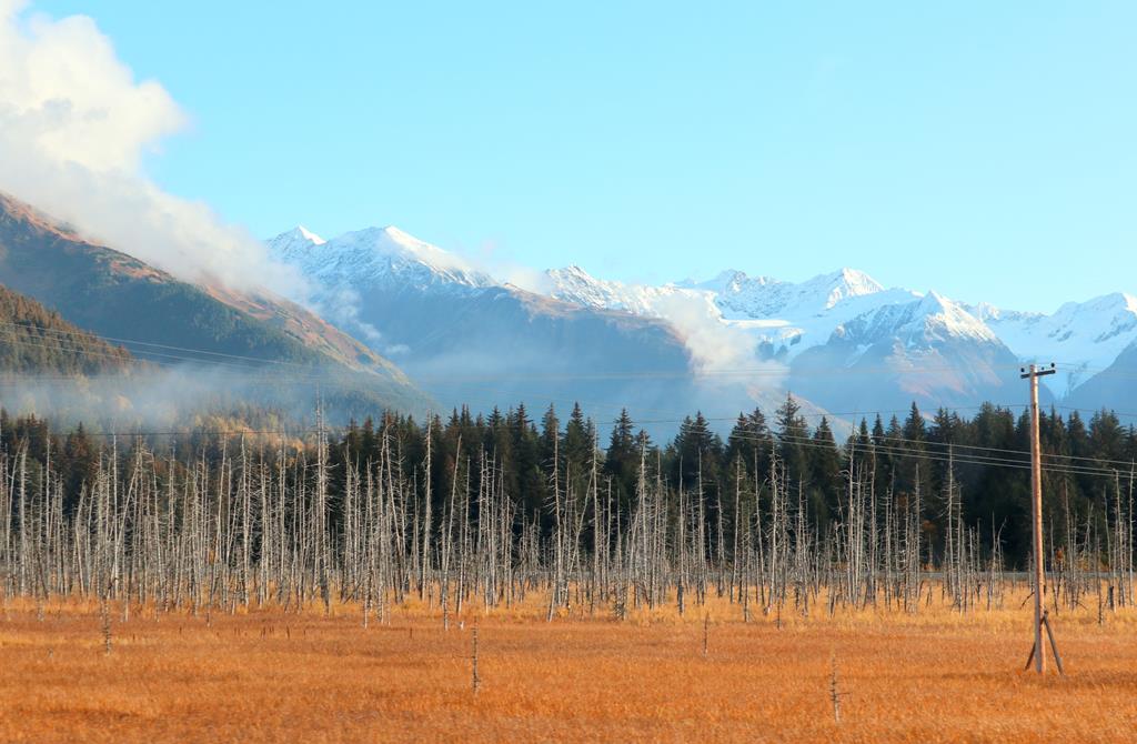 Car rental in Alaska