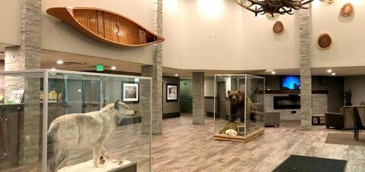 La-Quinta-by-Wyndham-Fairbanks-Airport