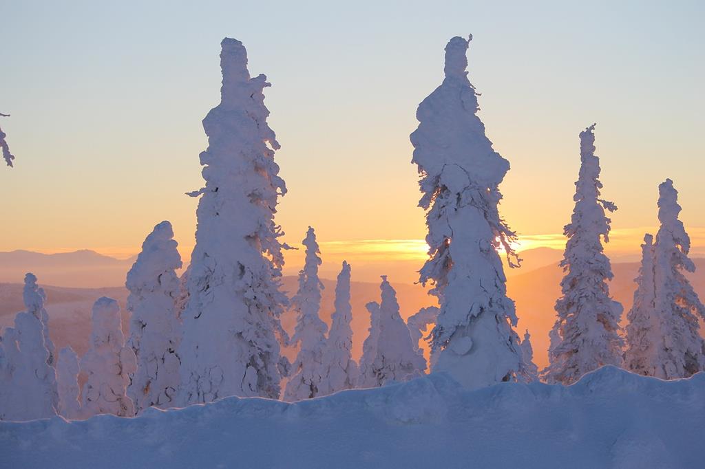 arctic alaska