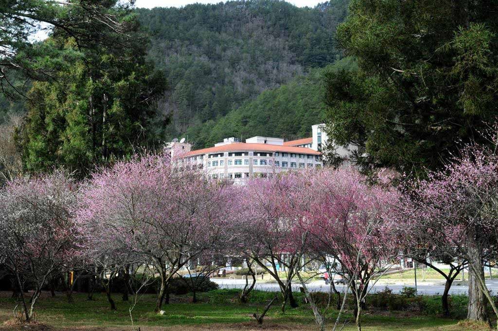 武陵富野渡假村