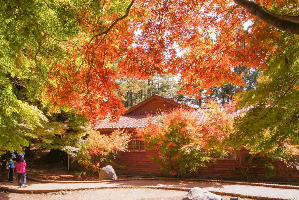 福壽山農場
