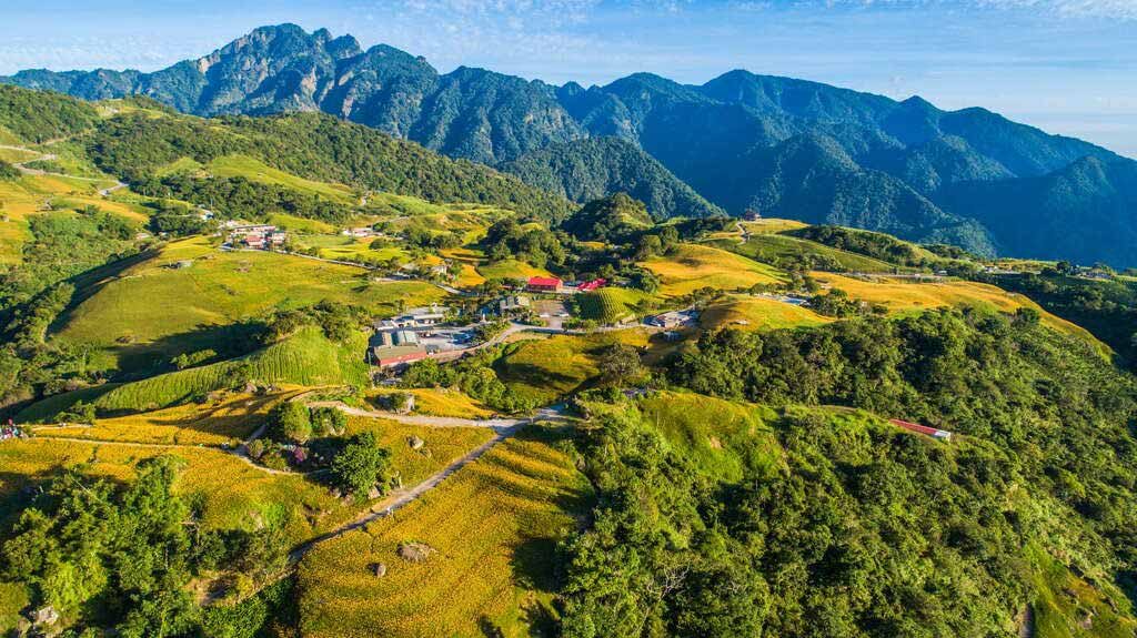 花蓮六十石山金針花季 交通