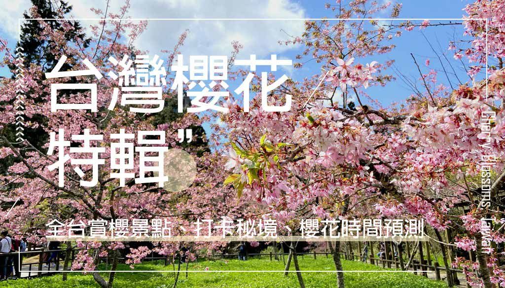 taiwan-cherry-blossoms