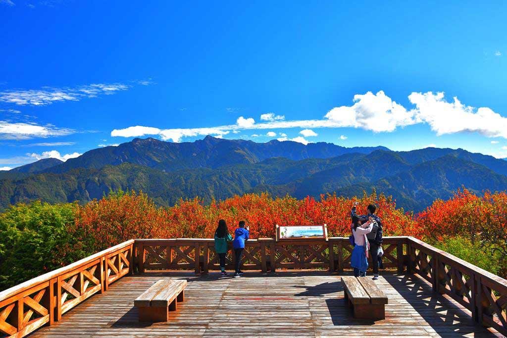 小笠原山觀景台
