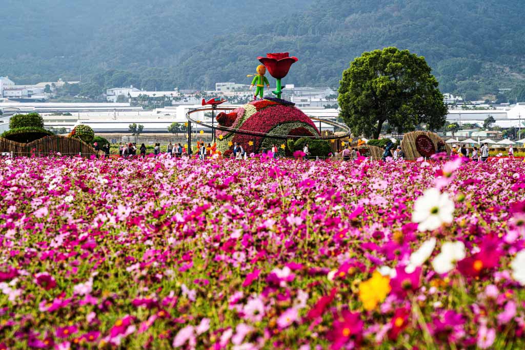 新社花海