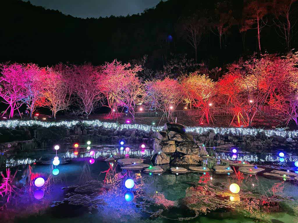 formosan-aboriginal-culture-village-cherry-blossom