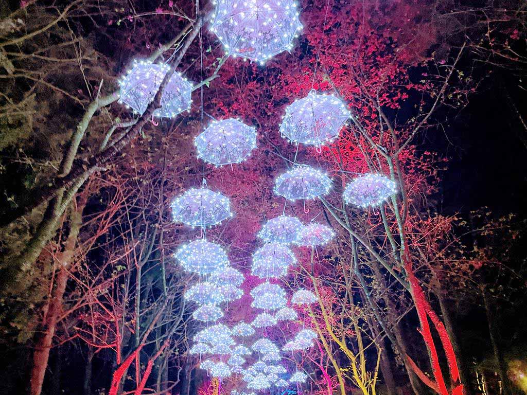 formosan-aboriginal-culture-village-cherry-blossom