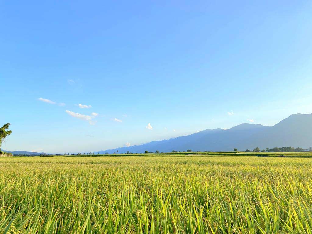 池上