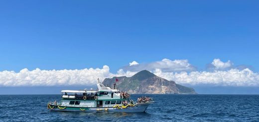 龜山島 賞鯨