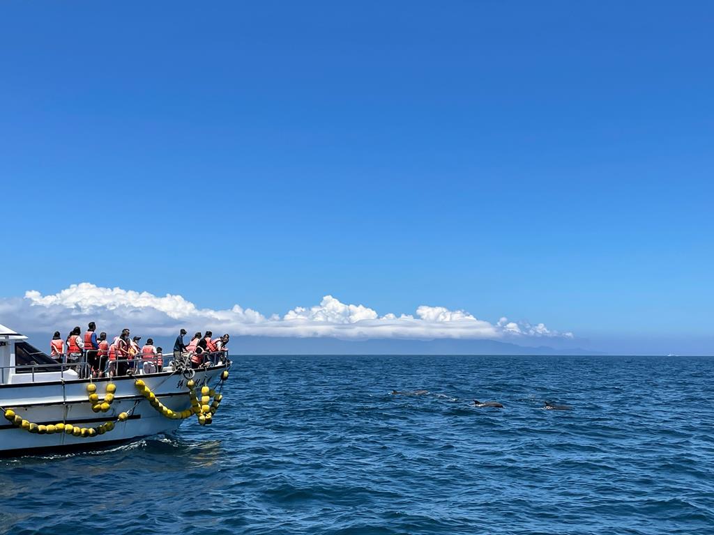 龜山島 賞鯨