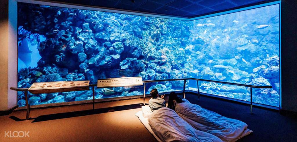 海生館夜宿