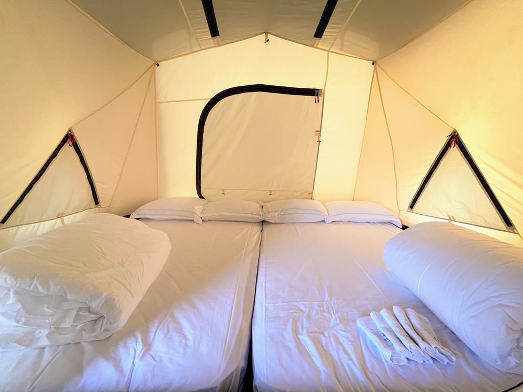 camping-in-Fame-Hall-Garden-Hotel