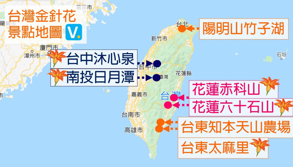 金針花-地圖