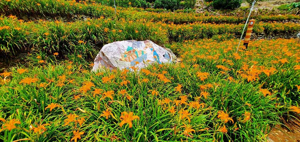 竹子湖故鄉金針花農園
