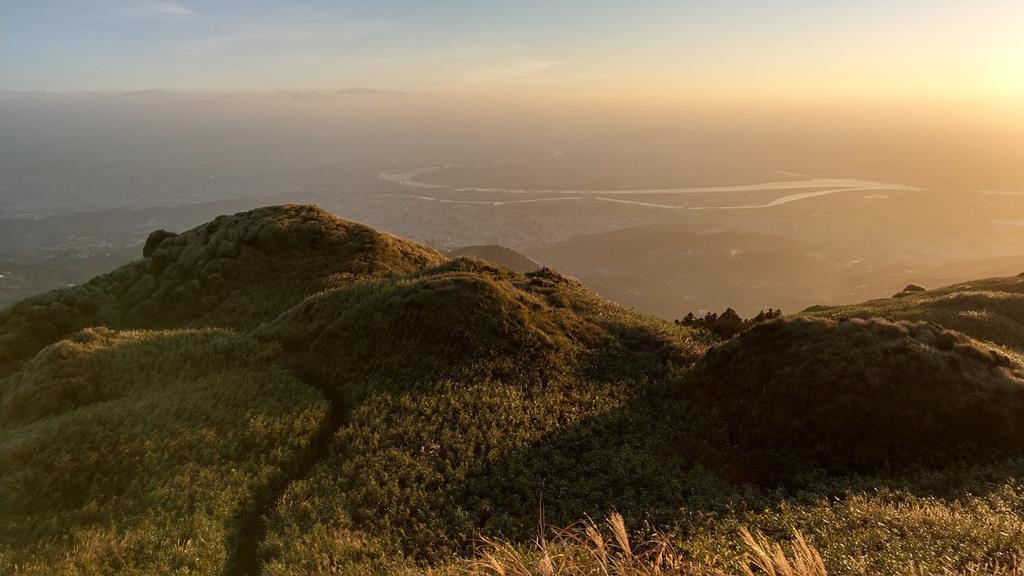 七星山 芒草