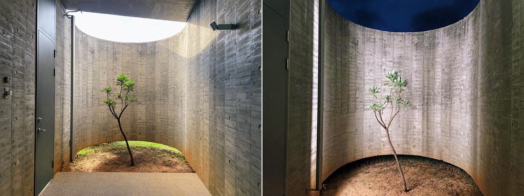 Wandering Walls