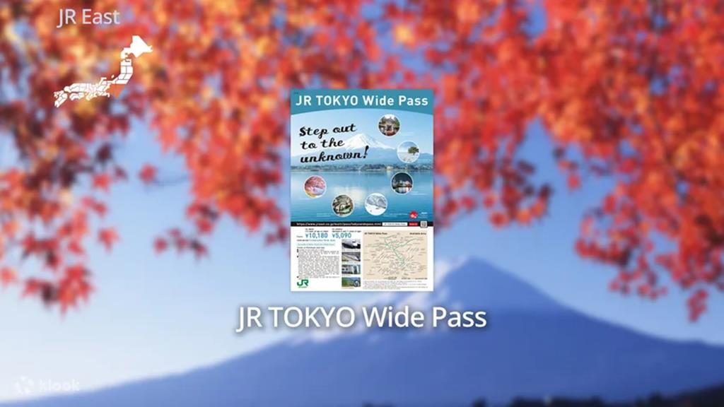 JR 東京廣域周遊券