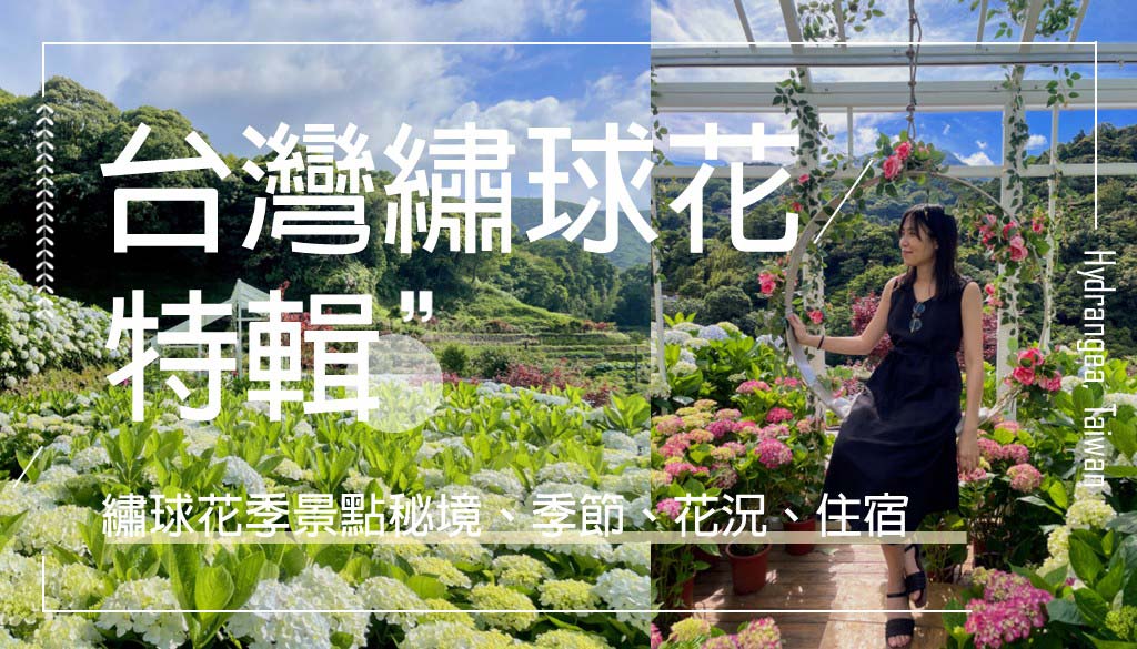 繡球花