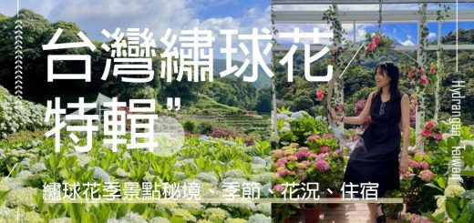 繡球花