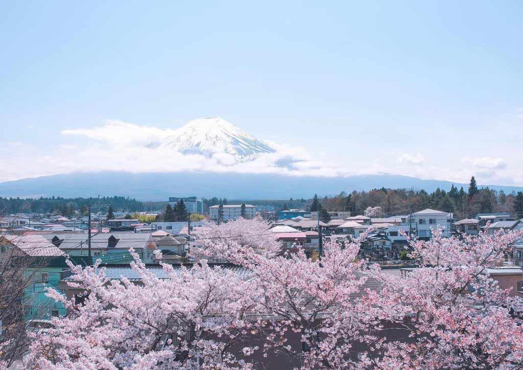 Megu-Fuji-2021