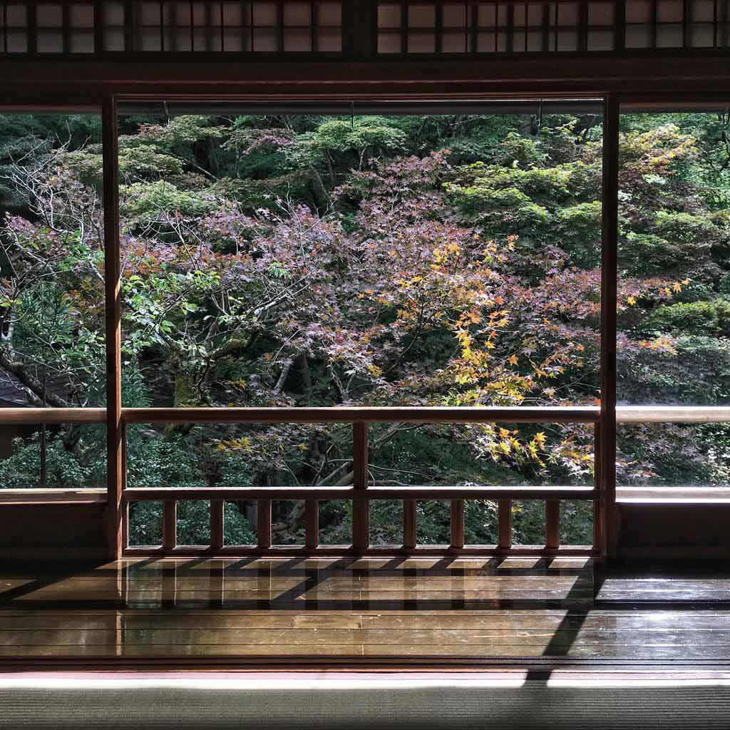 琉璃光院