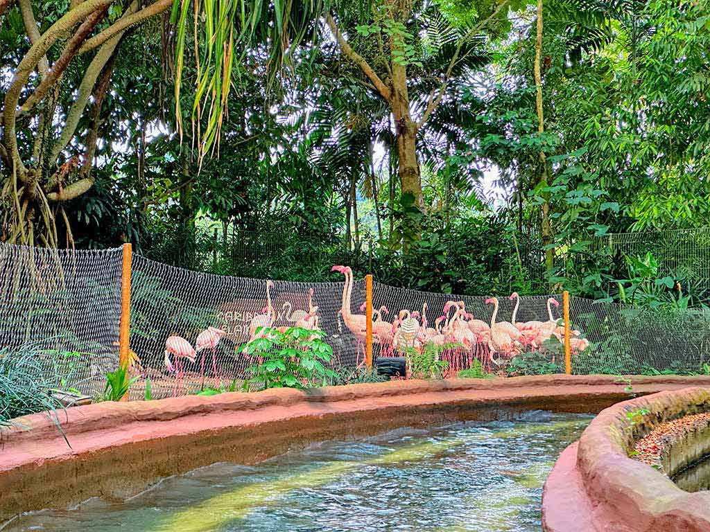 Singapore River Wonders