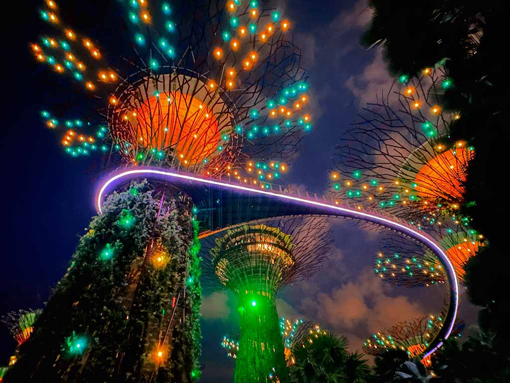 Supertree Grove
