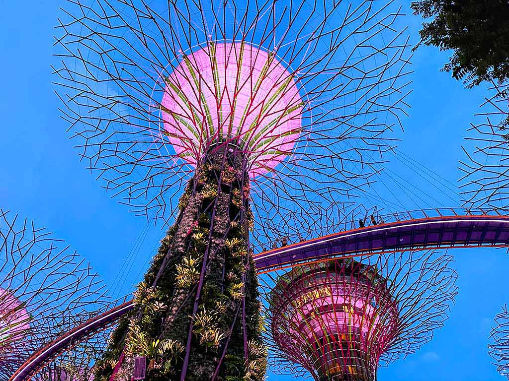 Supertree Grove