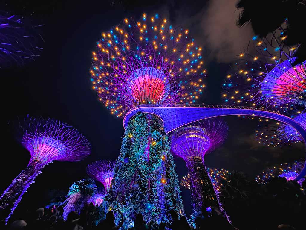 Supertree Grove