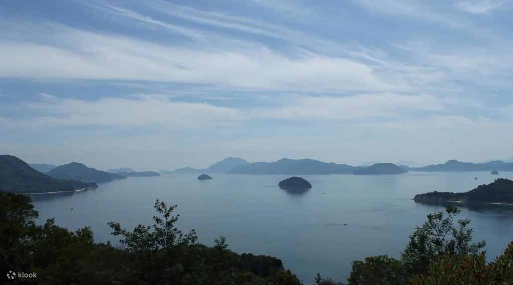 兔子島