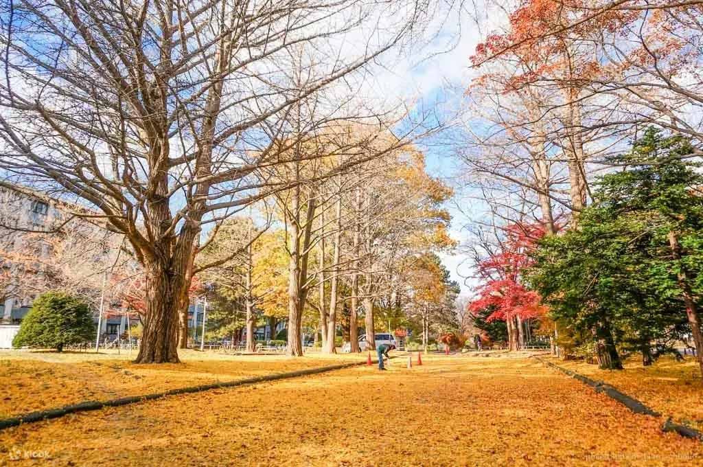 北海道大學