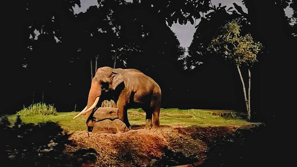 新加坡夜間動物園