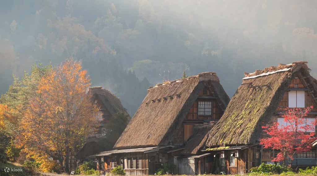 白川鄉合掌村