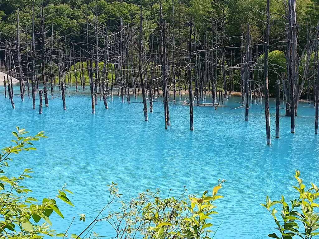 青池