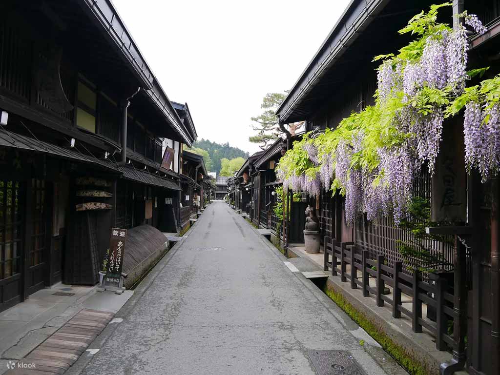 高山飛驒