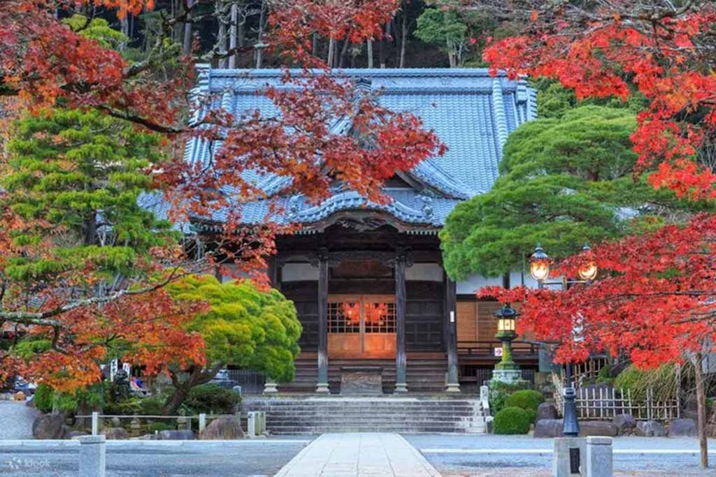 修善寺
