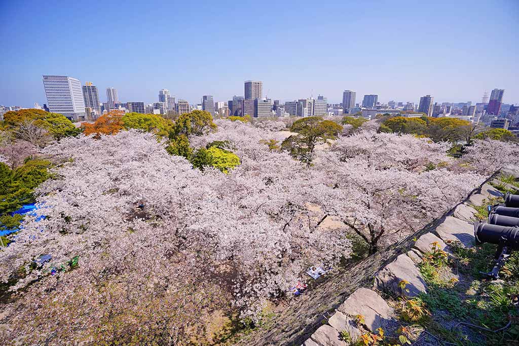 山陽&山陰&北九州地區鐵路周遊券