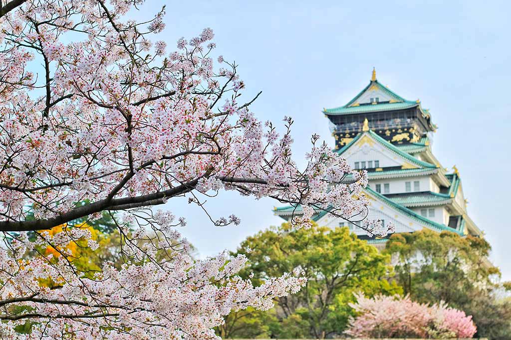 櫻花