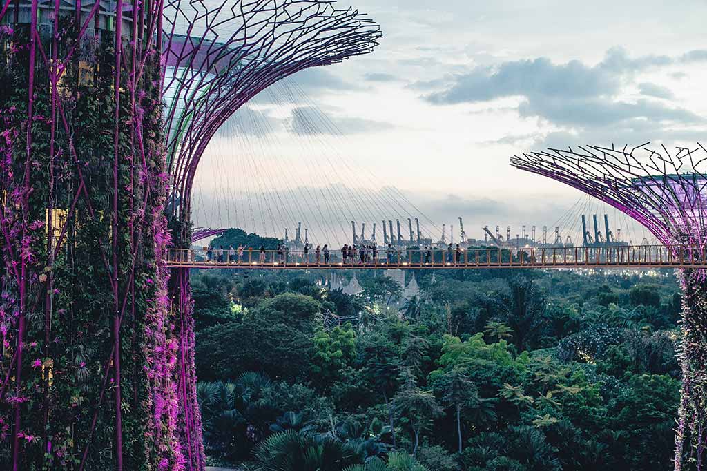OCBC Skyway