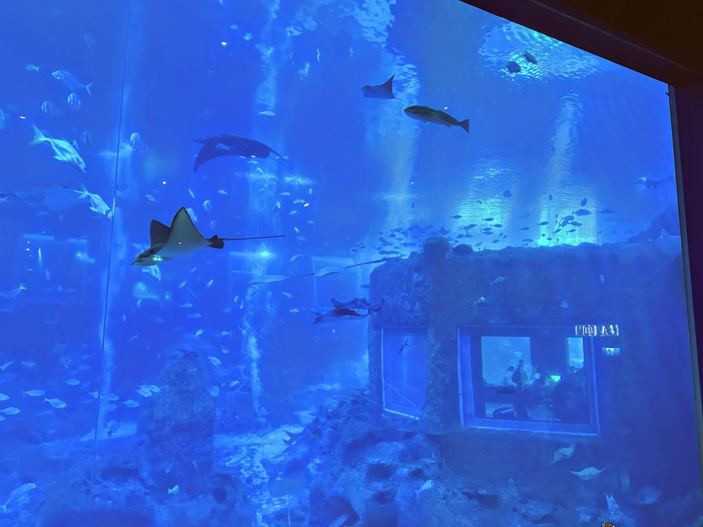 SEA水族館
