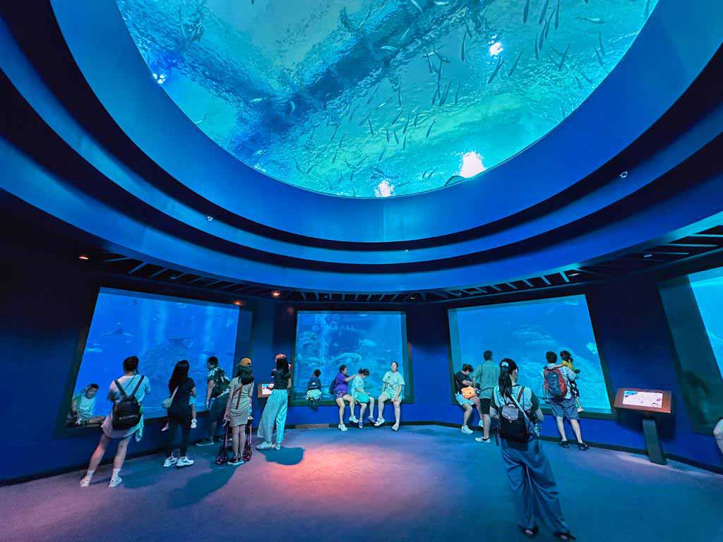 SEA水族館