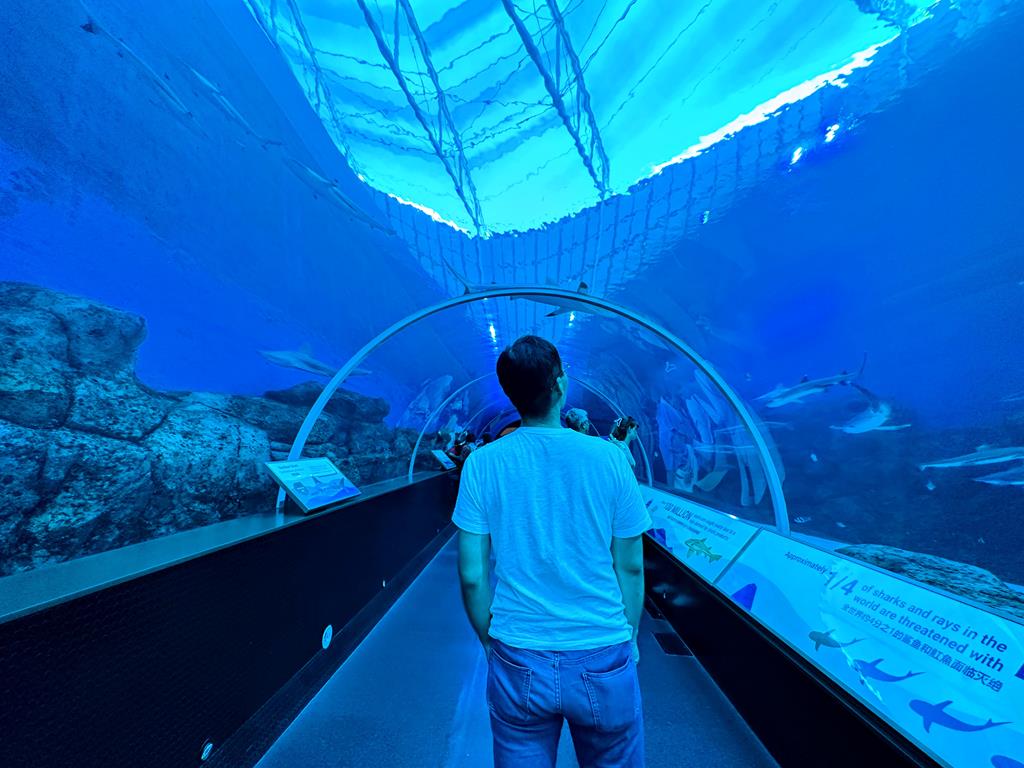 SEA水族館