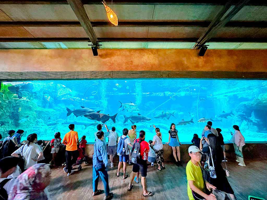 Singapore River Wonders