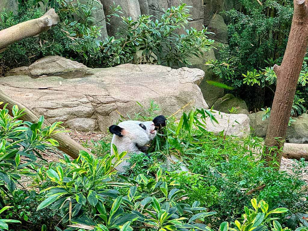 河川生態園