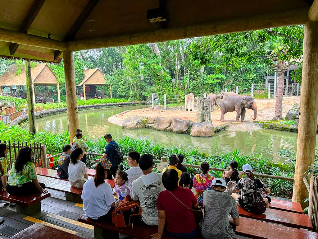 新加坡動物園