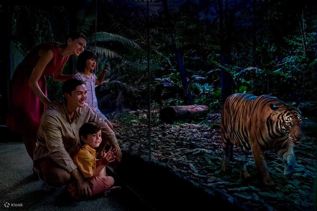 新加坡夜間動物園